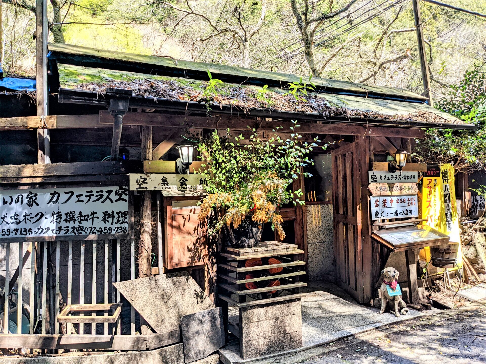 カフェテラス 空 犬鳴山ランチ 泉佐野市の情報サイト もっとさの